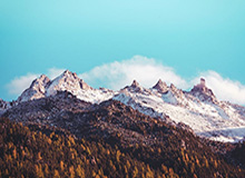 九游体育官网登录：开启专属游戏世界的入口