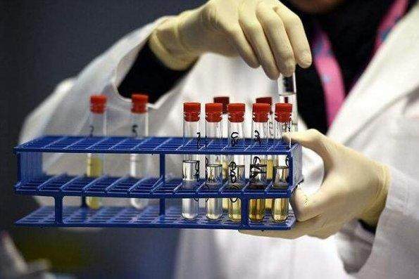 1717545049415071712.jpg xingfenji.jpg